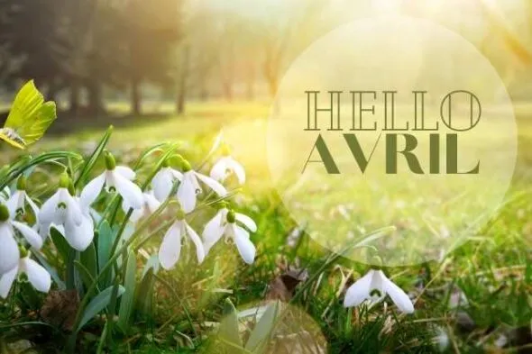AVRIL, Le Printemps chez votre spécialiste du matériel médical louer à Romans-sur-Isère, Chatuzange-le-Goubet, Mel&Yo Santé