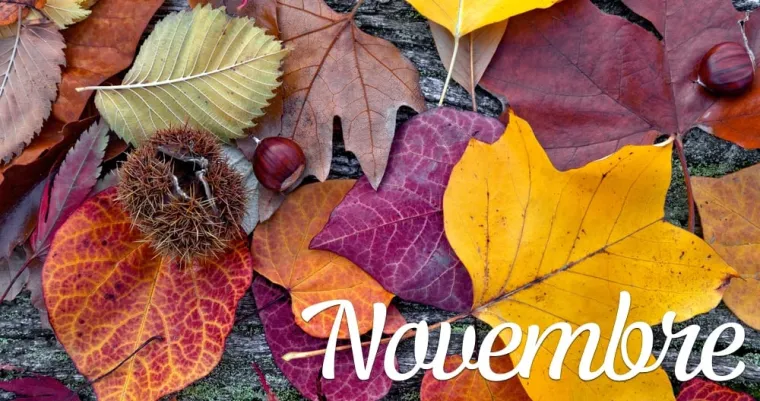 NOVEMBRE : LE FROID S'INSTALLE DOUCEMENT, MELYOSANTE ET LA RECUPERATION SPORTIVE, Chatuzange-le-Goubet, Mel&Yo Santé