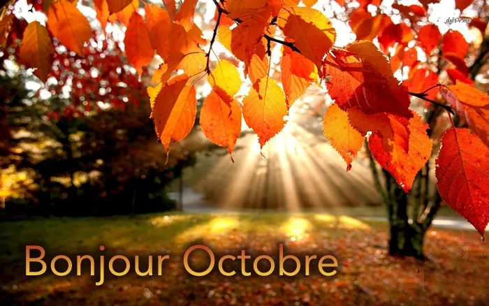 Bonjour Octobre ! Chez Mel&Yo Santé Vente et location de matériel médical à Romans-sur-Isère, Chatuzange-le-Goubet, Mel&Yo Santé